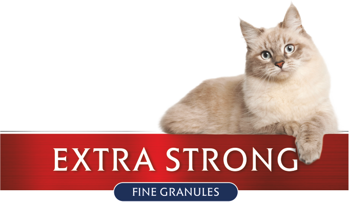 White Sand Extra Strong Cat Kedi Kumu 2x6Lt. Dostunuz İçin Kaliteli